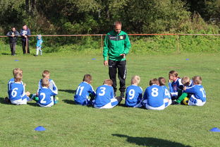 leyu乐鱼体育综合-五大联赛核心球员缺阵时教练战术应变差异分析，五大联赛主教练工资排名