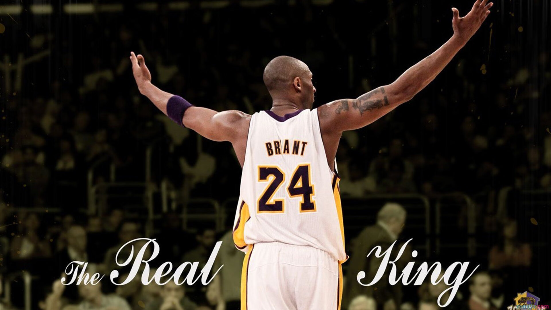 电竞青训体系逐步完善助力职业发展,电竞青训是啥意思