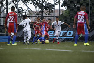 下载乐鱼体育APP-中国足球青训营实地探访报告，中国足球青训现状2020